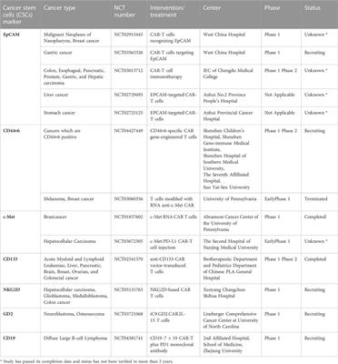 Cancer cell targeting by CAR-T cells: A matter of stemness